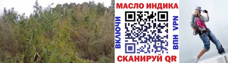Дистиллят ТГК THC oil  Дедовск 